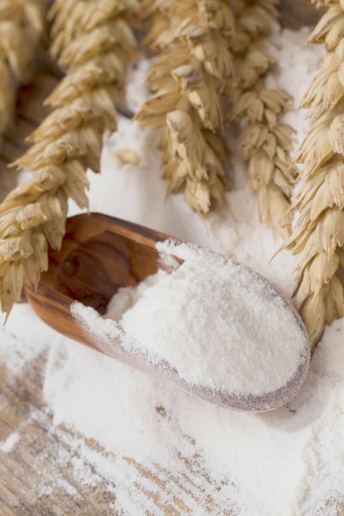 Saque con harina para todo uso y granos de trigo.